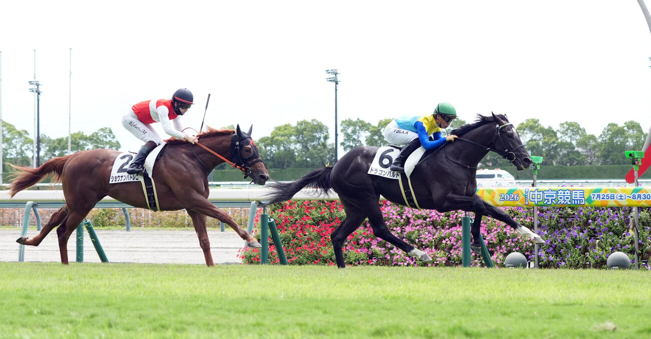 中京3R、2歳新馬戦を制したドラゴンバルド（右）（撮影・森本幸一）