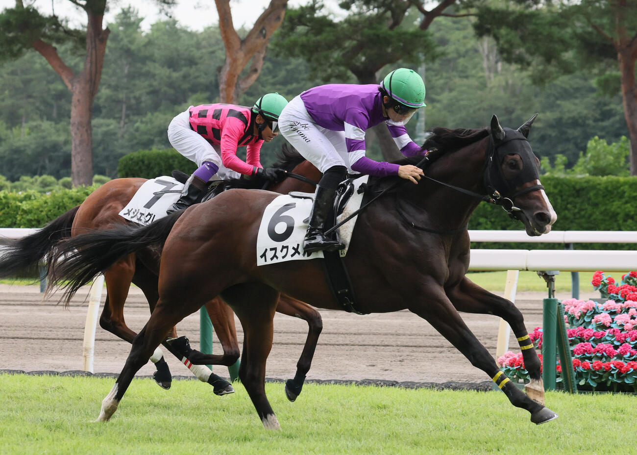 新潟2R、ゴール手前で差し切って2歳新馬戦を制したイスクメルと田山旺佑騎手（撮影・丹羽敏通）