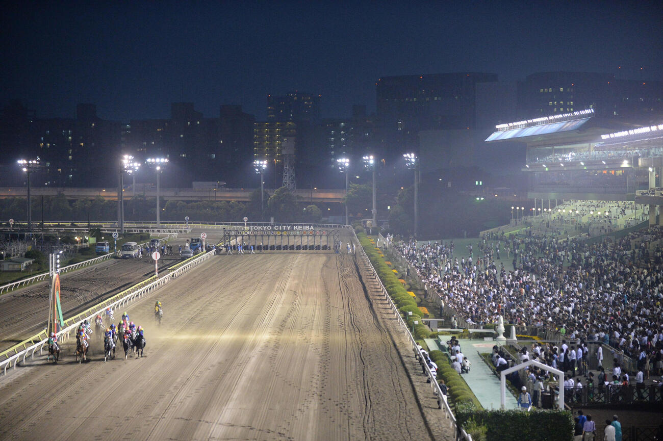 大井競馬場（2013年7月撮影）
