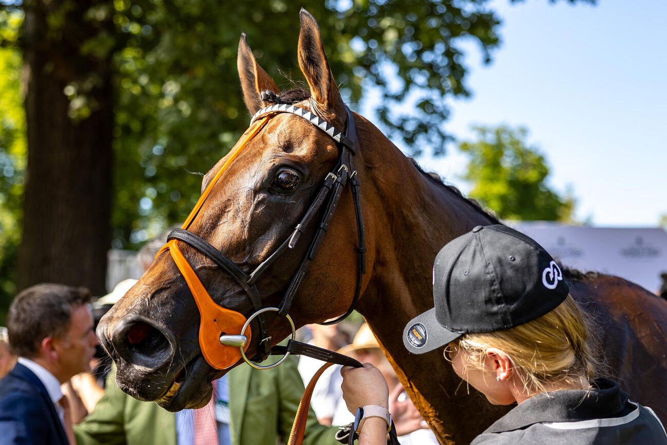ベルリン大賞を制したティファニー（C）German Gallop／Marc Ruhl