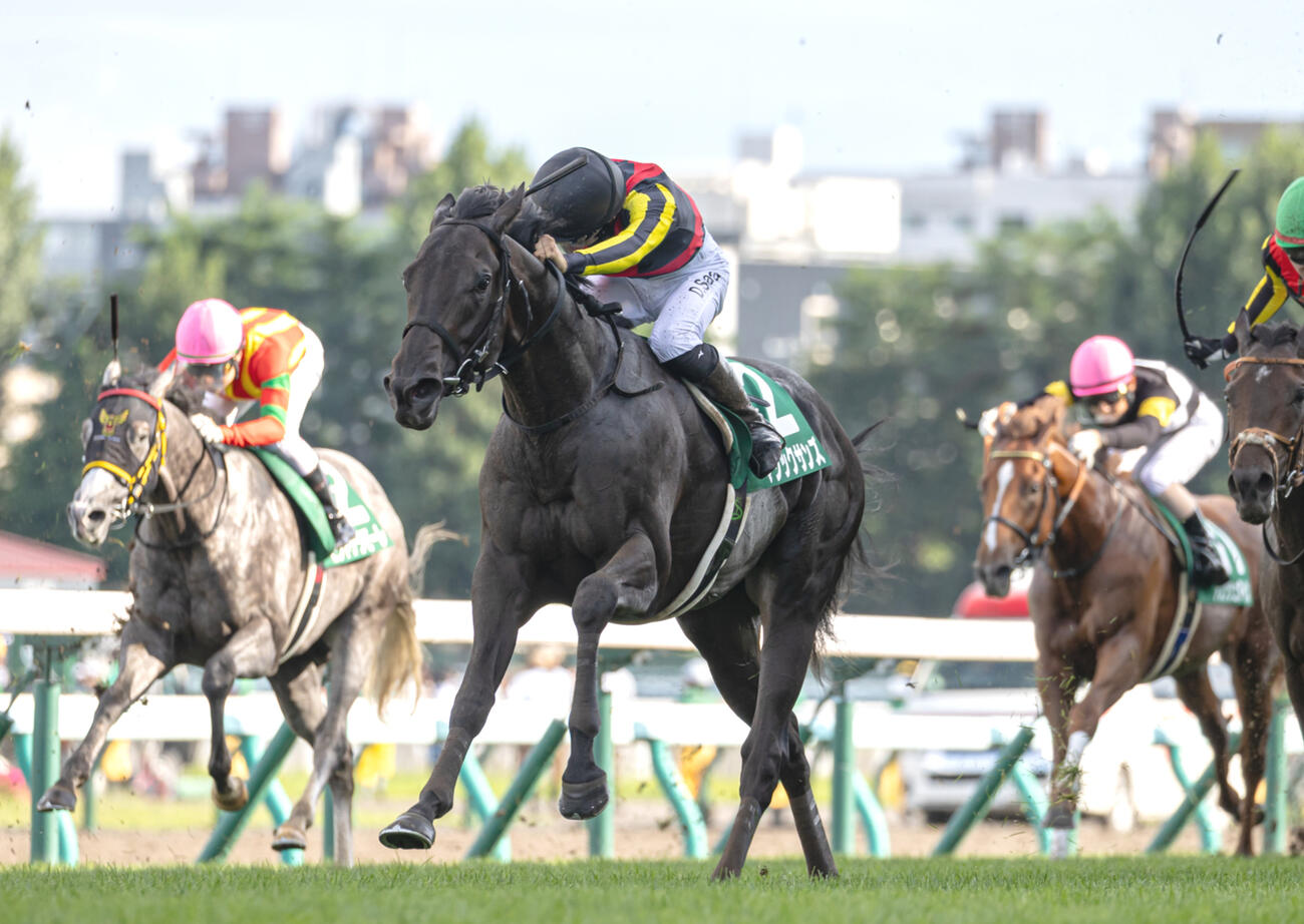 24年札幌2歳Sを制したマジックサンズ（中央）