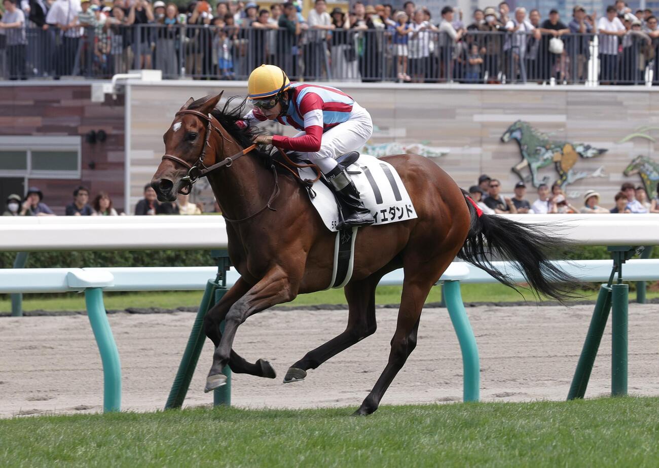 9日札幌5Rの新馬戦を制したウィエダンド