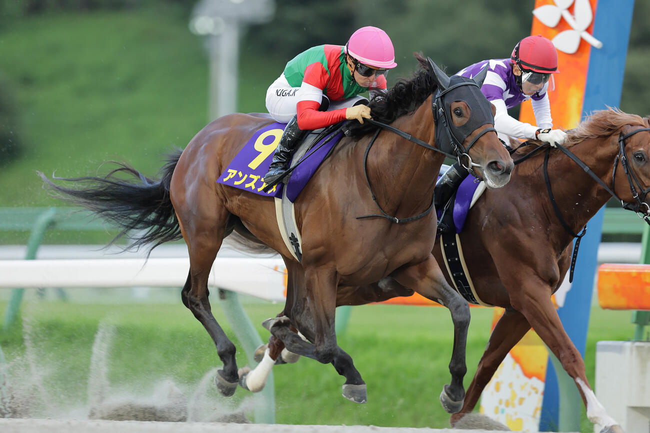 クラスターCで重賞初勝利を挙げたアンズアメ（岩手県競馬組合提供）