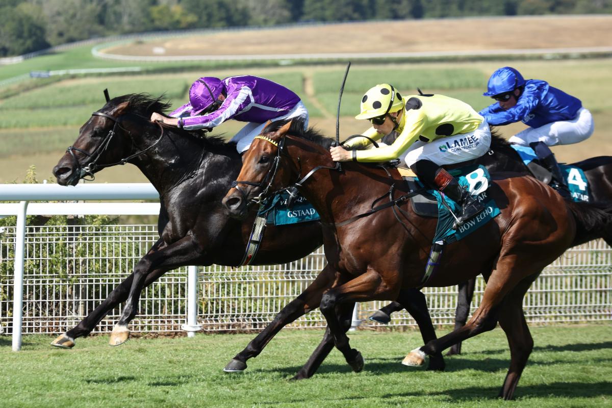 サセックスＳを制したボウエコー（手前）（C）Goodwood Racecourse