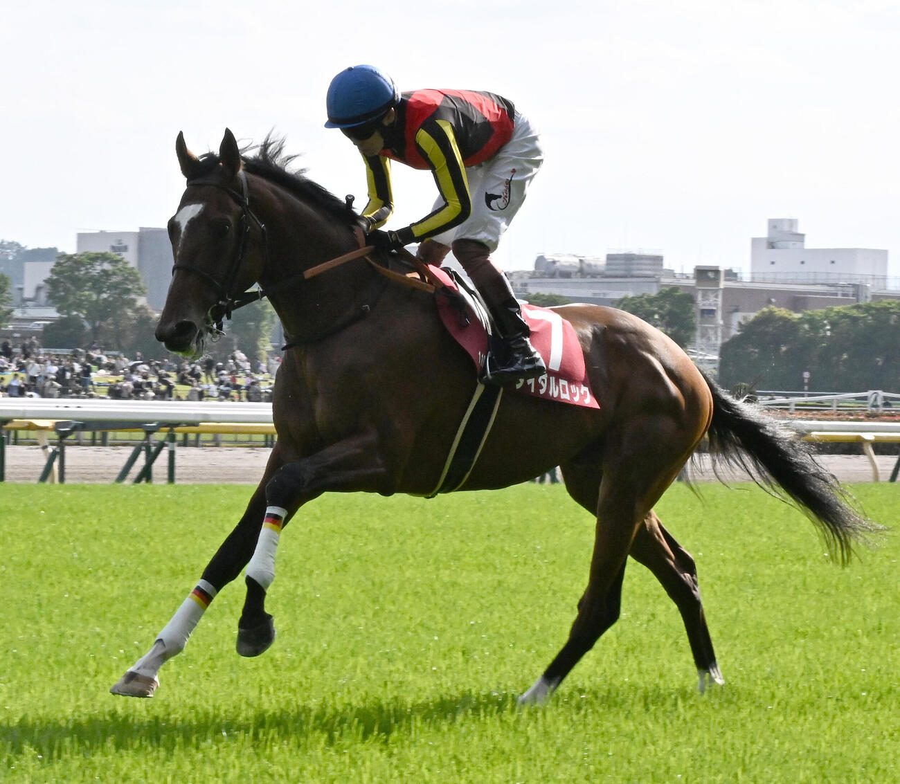 タイダルロック（2026年4月撮影）