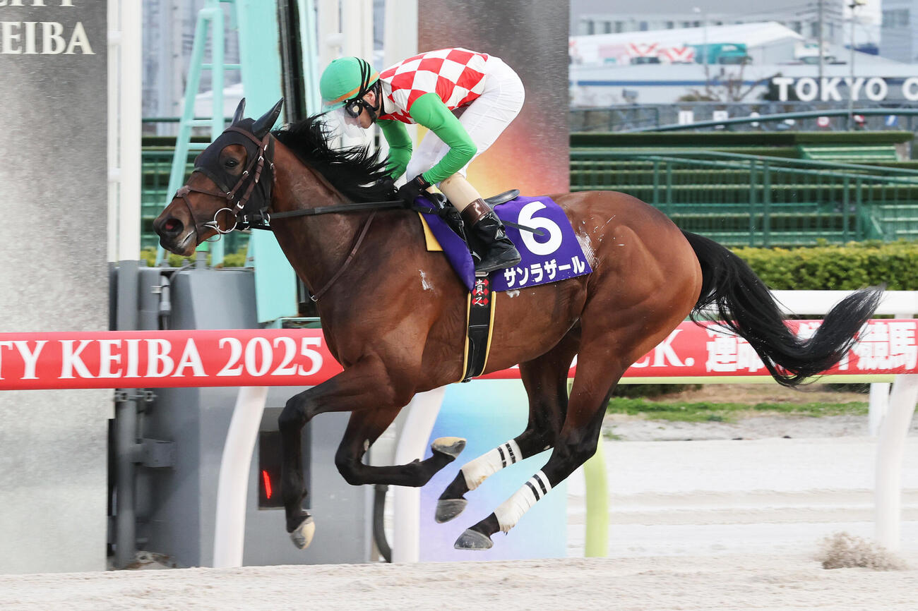 黒潮盃出走のサンラザール（写真提供・東京シティ競馬）