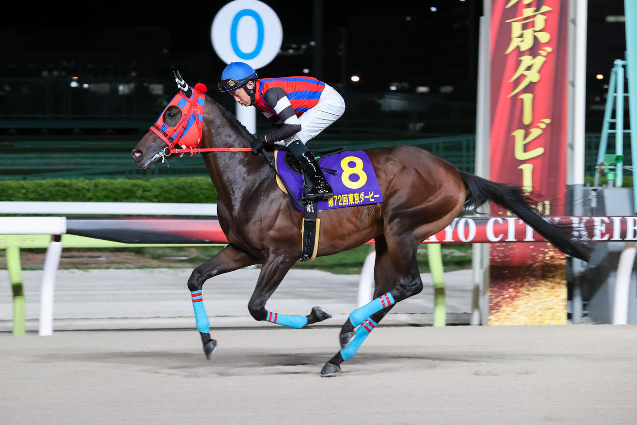 黒潮盃出走のミルトイブニング（写真提供・東京シティ競馬）