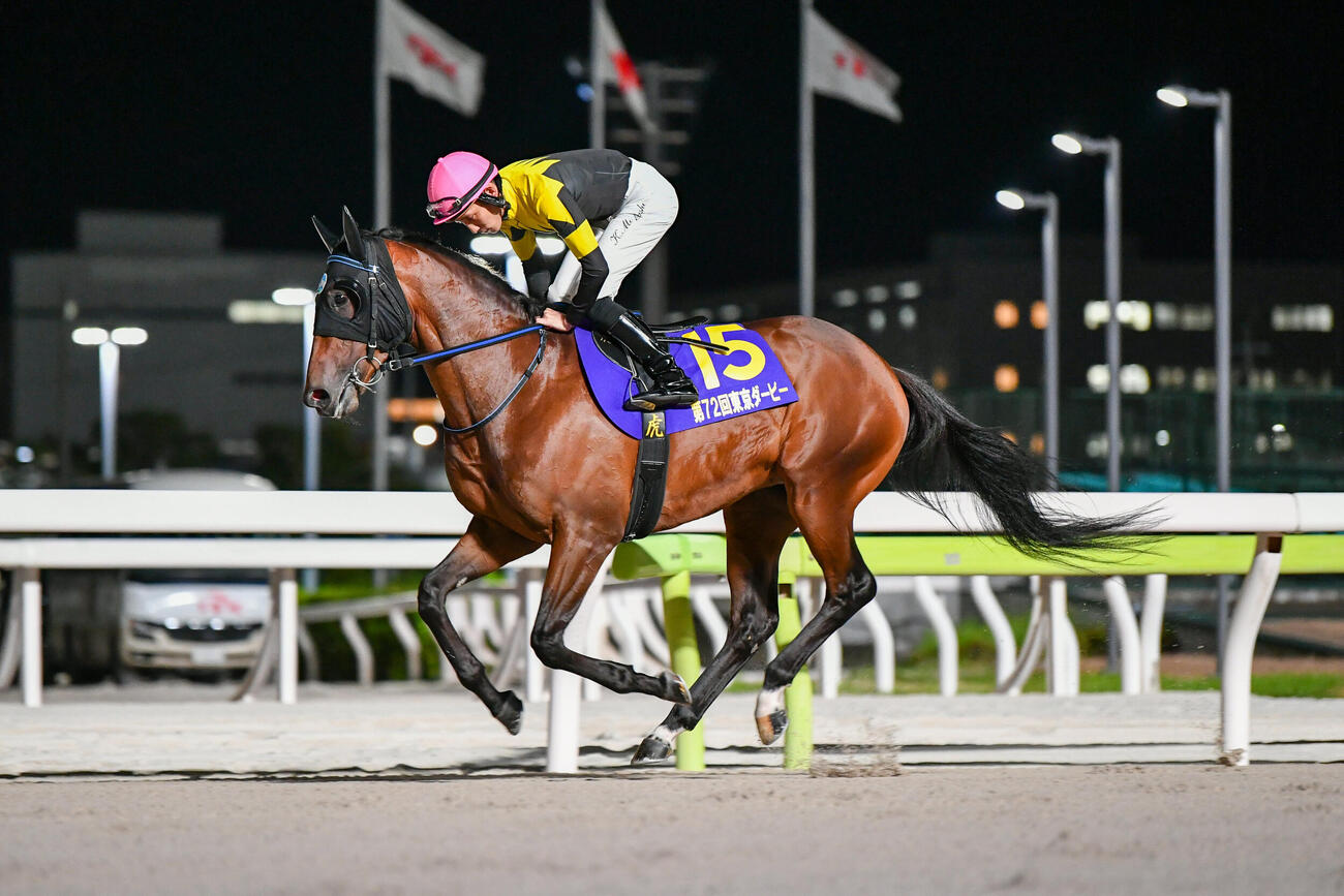 黒潮盃出走のモエレサワンミヤギ（写真提供・東京シティ競馬）