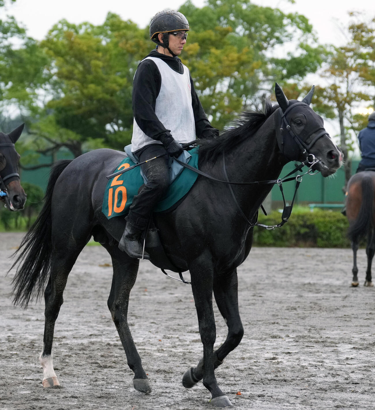 馬場へ向かうリボンロード（撮影・小島史椰）