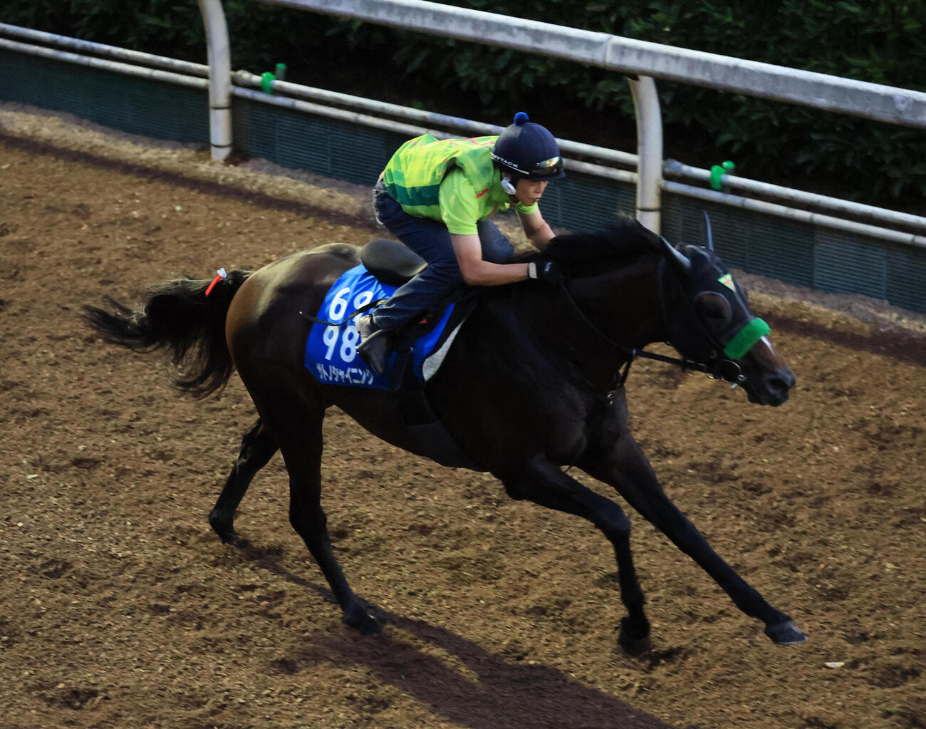 坂路を単走で追い切るサトノシャイニング