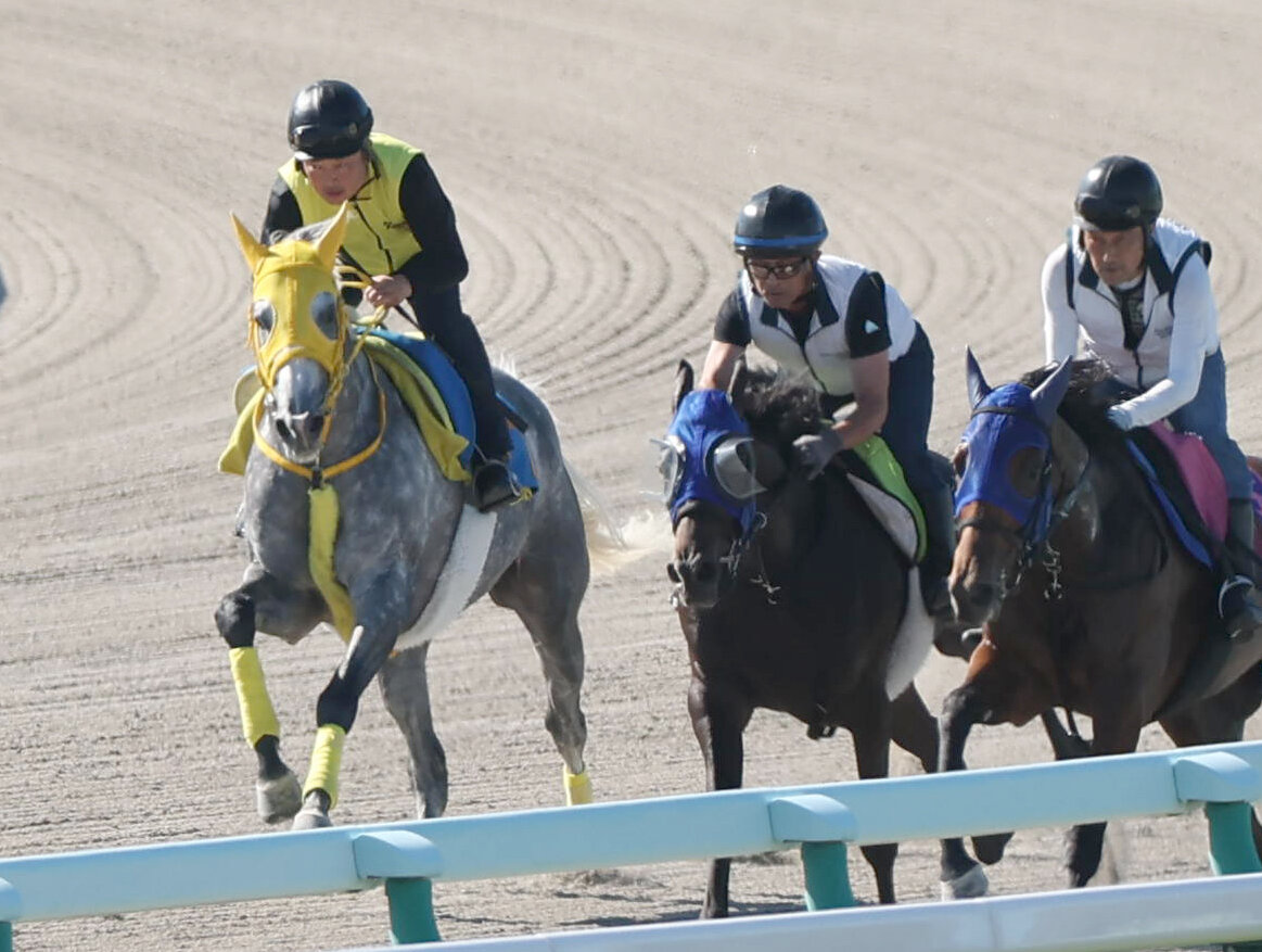 札幌記念に向け札幌競馬場のダートコースで追い切るマイネルモーント（左）
