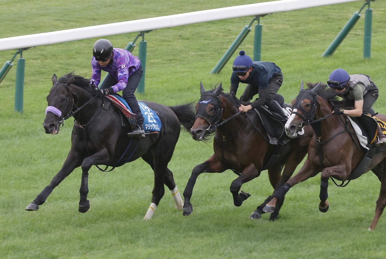 芝コースで併せ馬で追い切られるマジックサンズ（左端）