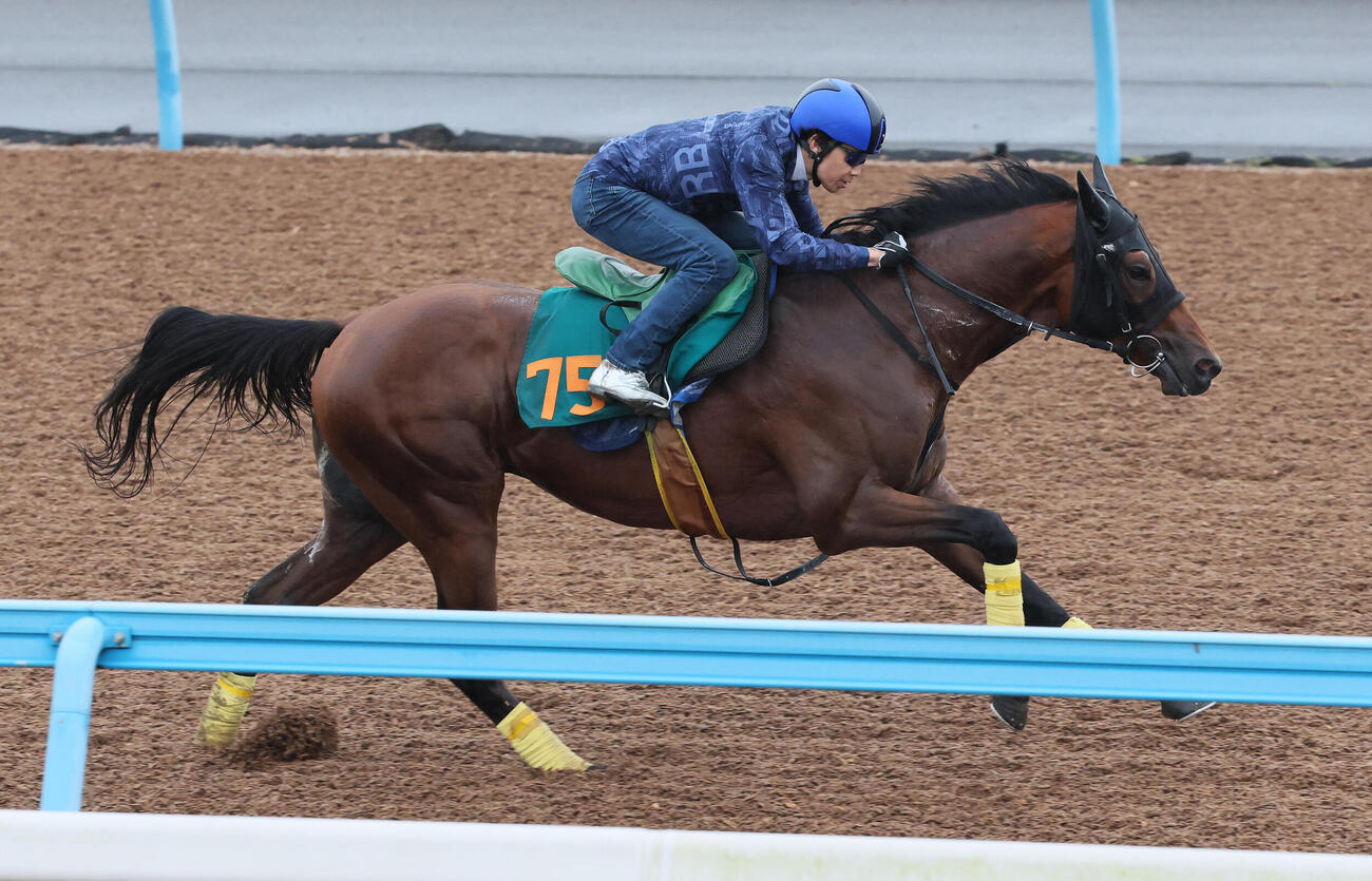 レッチュベルクは田辺裕信騎手を背に美浦ウッドで追い切られた（撮影・丹羽敏通）