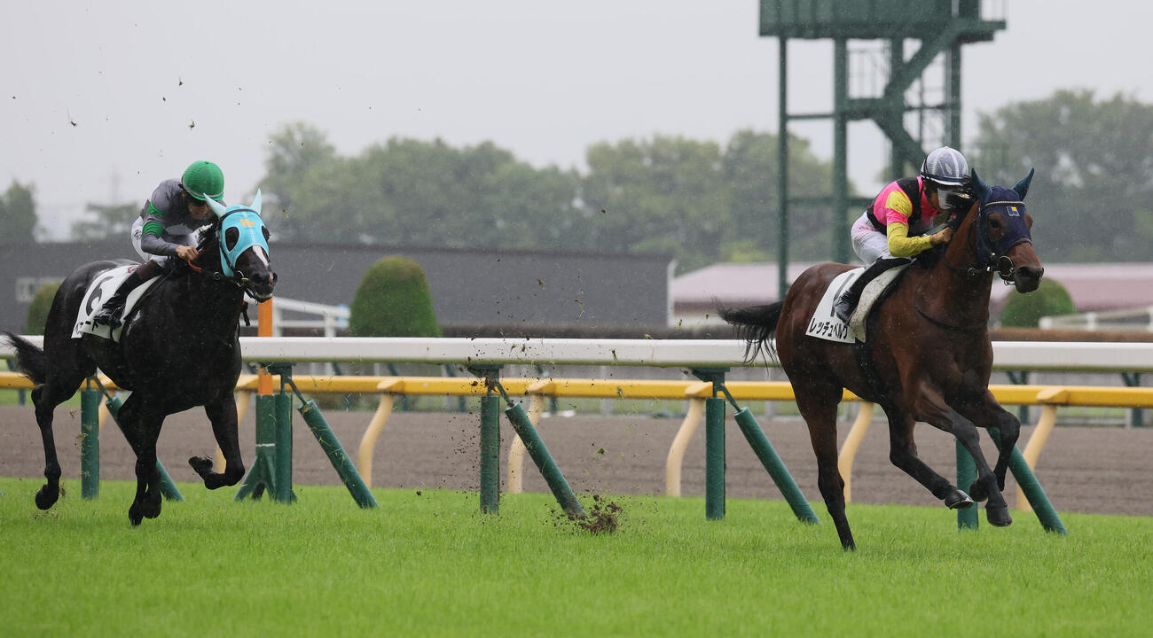 2歳新馬戦を制したレッチェベルク（2026年6月撮影）