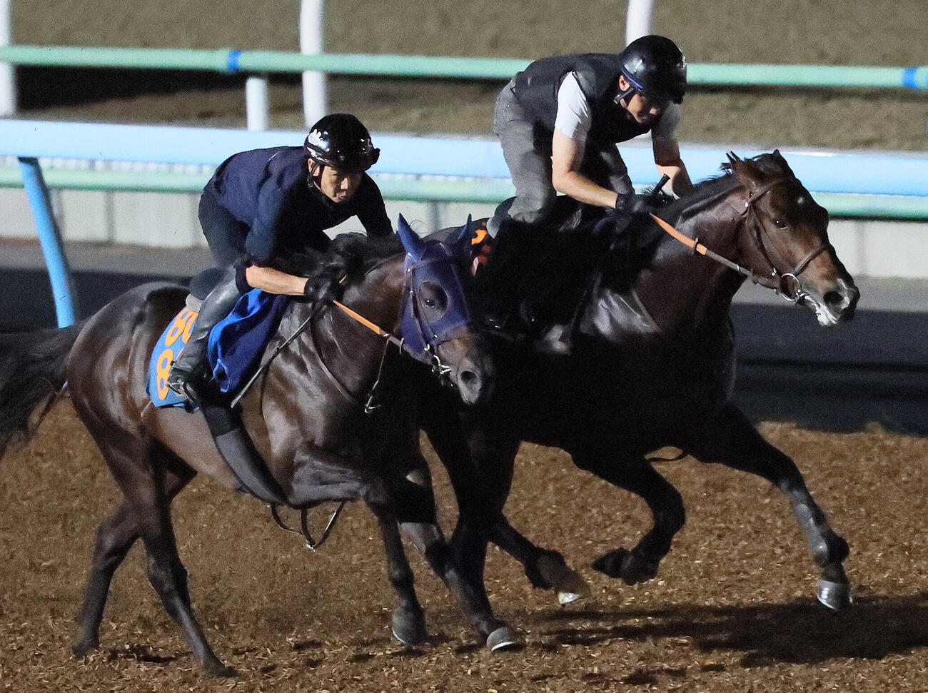 フィンガー（右）は美浦ウッドでサトノビーツと併せて国内最終追い切りを行った（撮影・丹羽敏通）