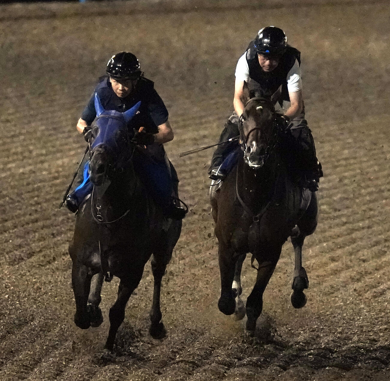 フィンガー（右）は美浦ウッドでサトノビーツと併せて国内最終追い切りを行った（撮影・小島史椰）