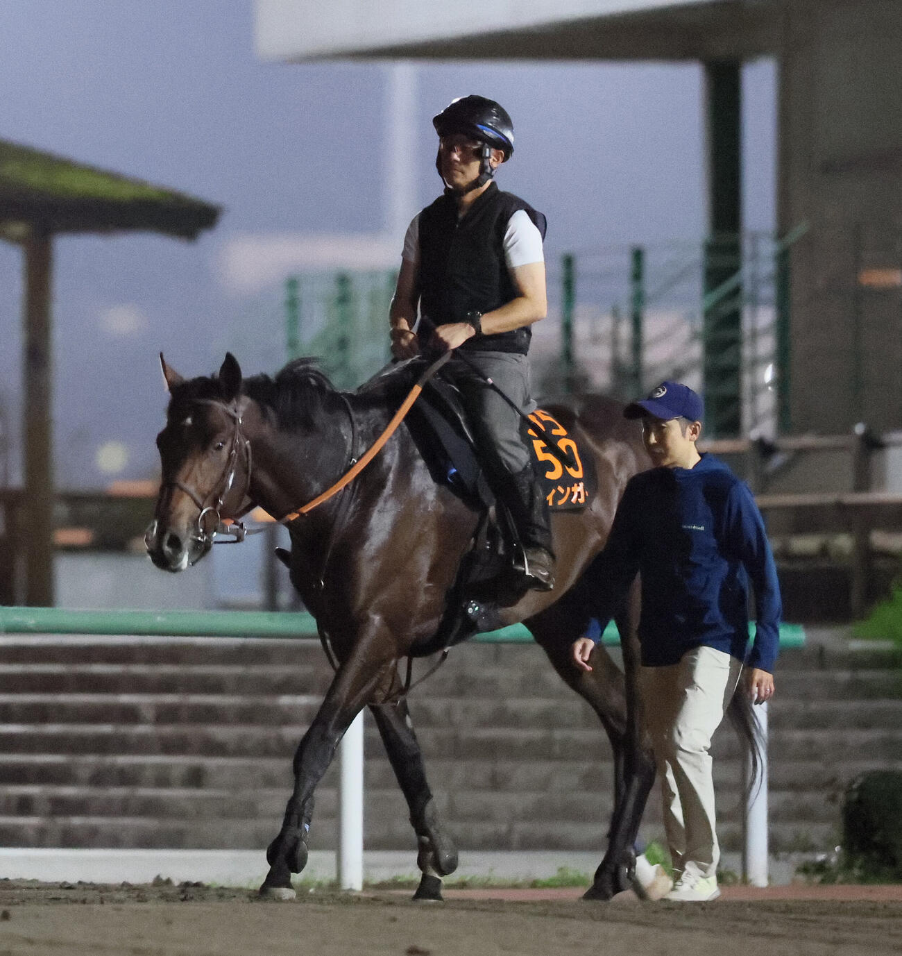 国内最終追い切りを終えて馬場を出るフィンガーと田中博康調教師（撮影・丹羽敏通）