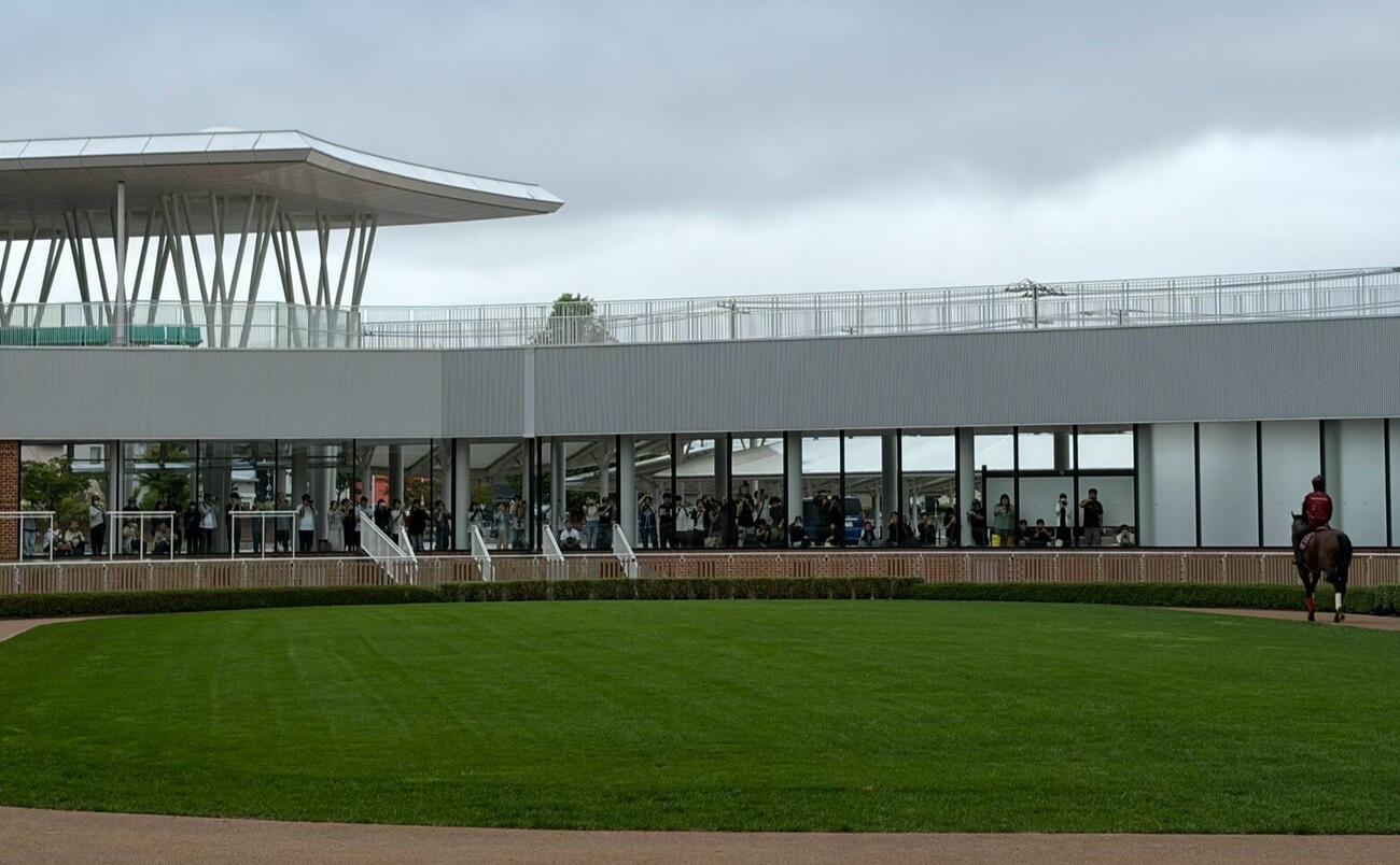 函館競馬場のパドックで運動するフォーエバーヤングを見学するファン