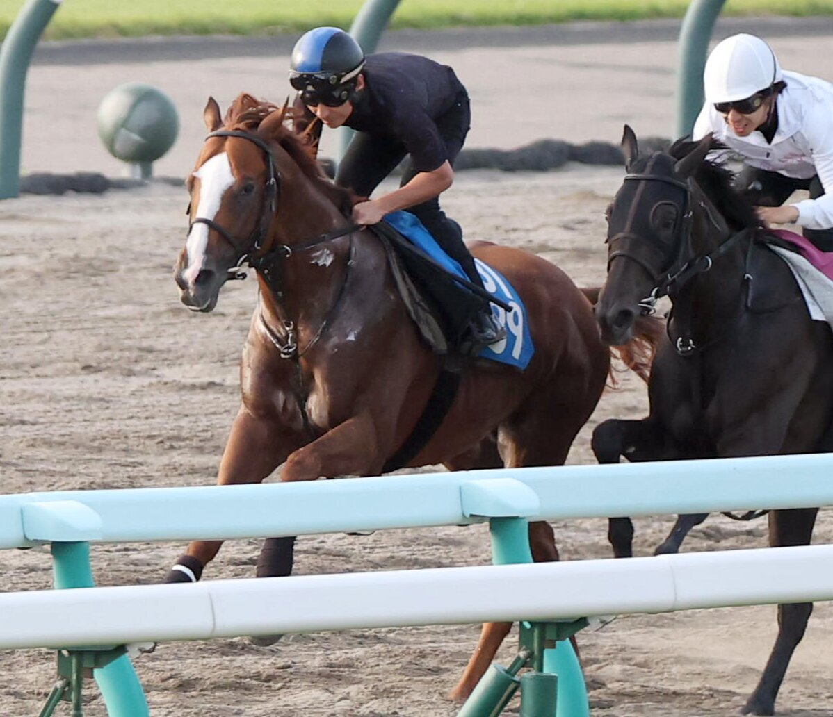 12日、横山典弘騎手を背に追い切るレディネス（左）