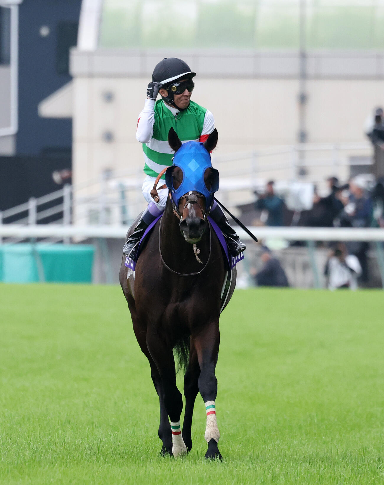 シックスペンスと武豊騎手（2026年撮影）