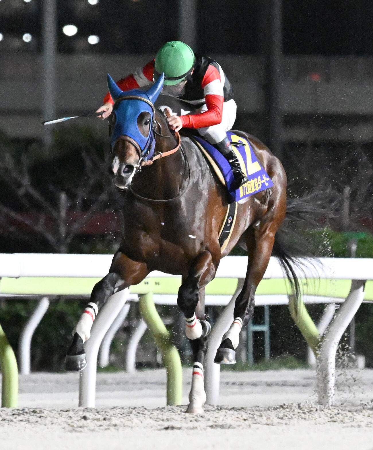 東京ダービーを制したフィンガー（2026年6月10日撮影）