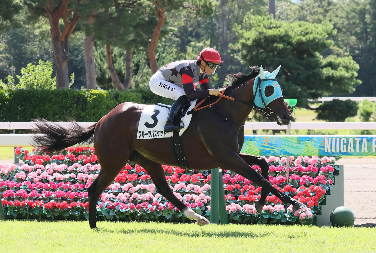 新潟1R、2歳未勝利戦を制したフルーツバスケットと川田将雅騎手（撮影・丹羽敏通）