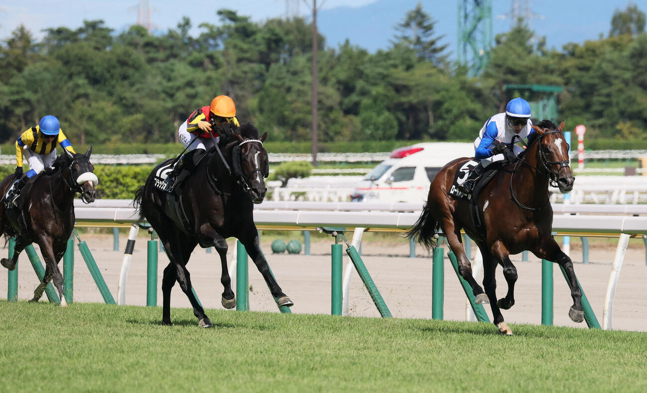 阿賀野川特別を制したロードフィレールと戸崎圭太騎手（右）。中央は2着ブラックオリンピア