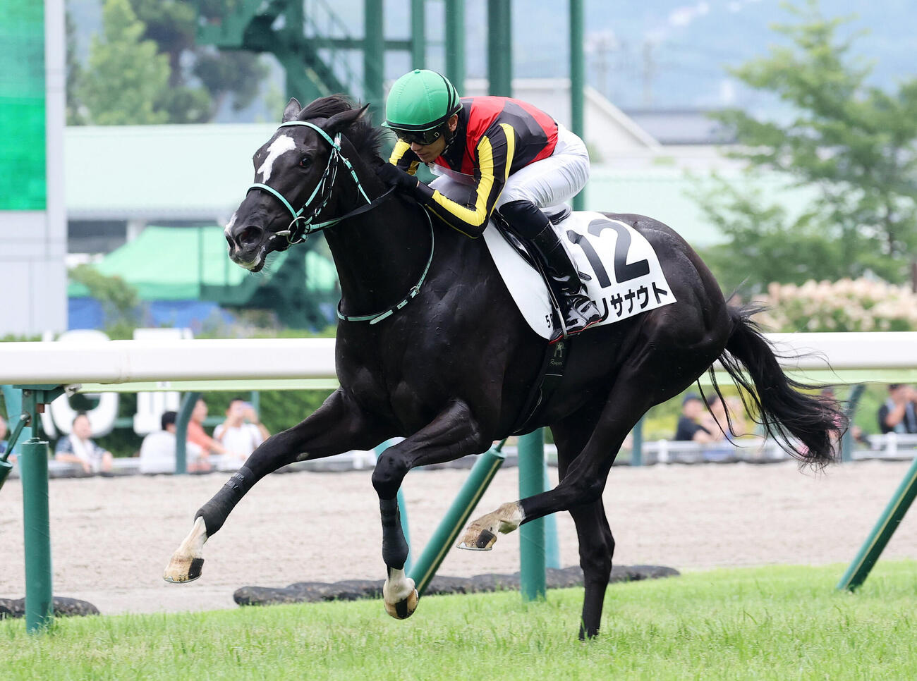 リサナウト（2026年7月撮影）