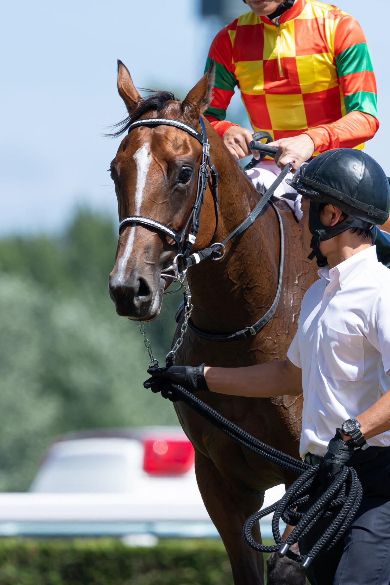 札幌5R、デビュー戦を勝ち上がったシティオブドリーム