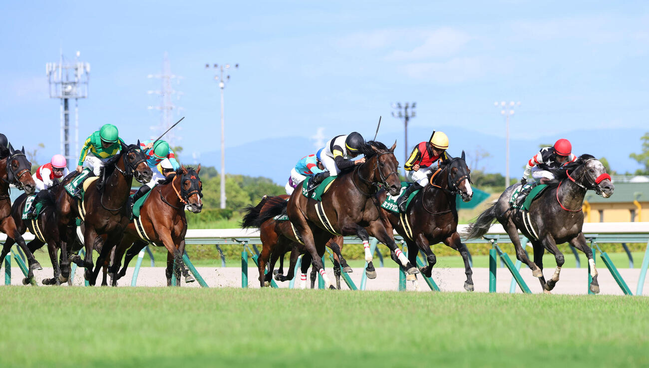 直線抜け出してレコードタイムで中京記念を制したラヴァンダ（撮影・白石智彦）