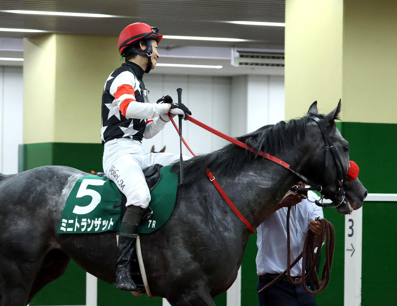 中京記念2着に敗れたミニトランザット（撮影・白石智彦）