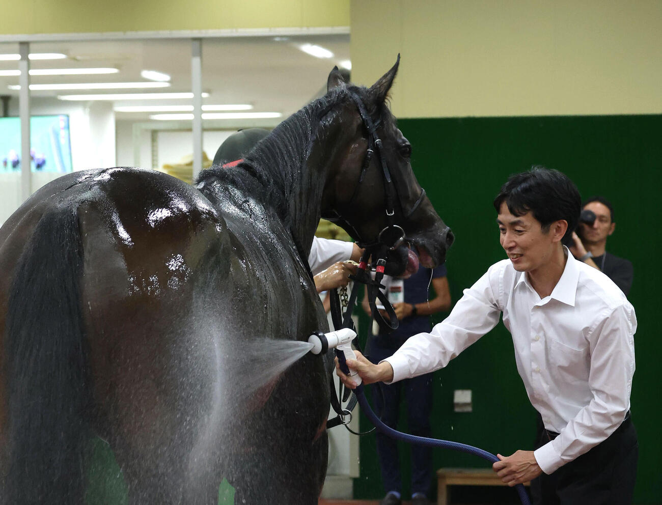 中京記念を制したラヴァンダにシャワーを浴びせる中村直也調教師（撮影・白石智彦）