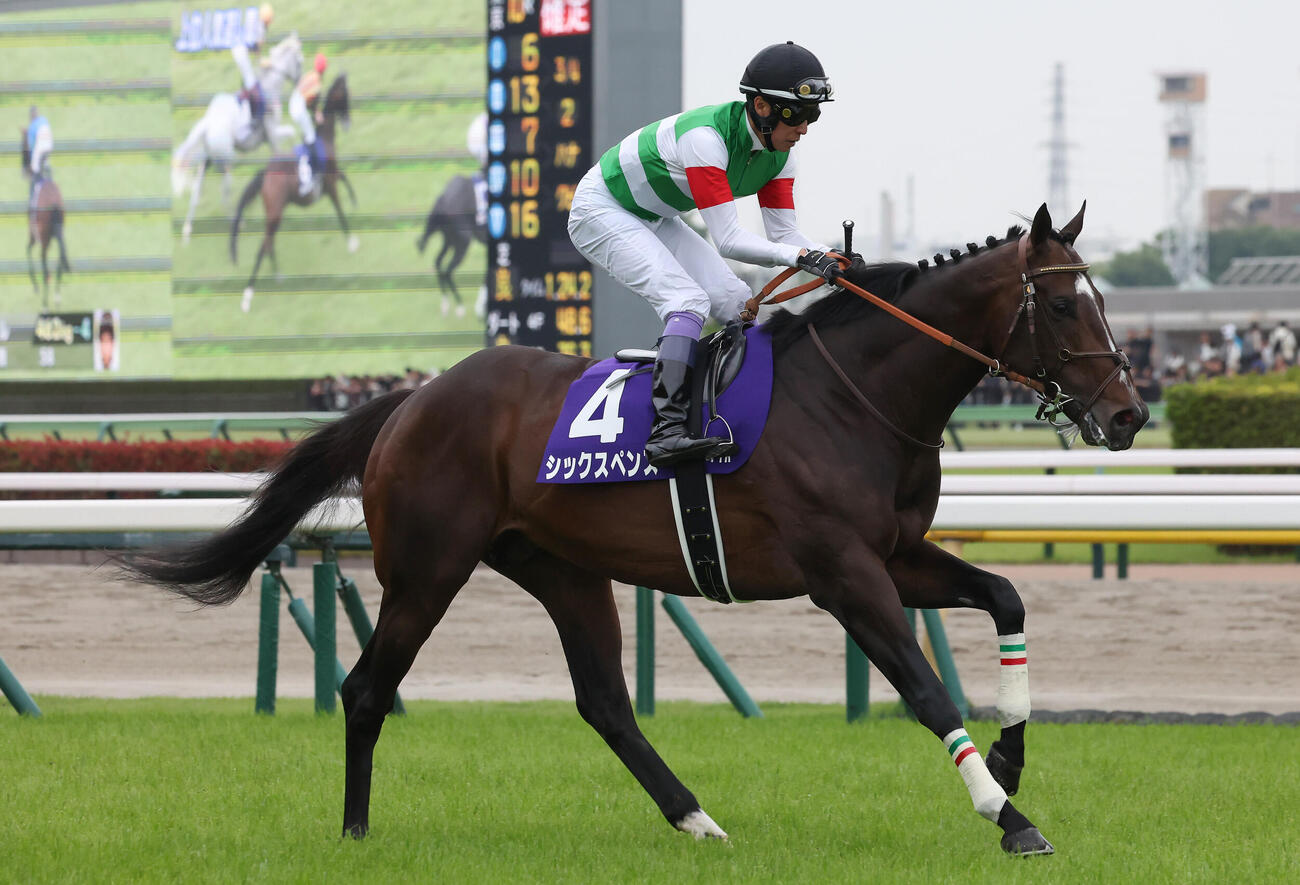 ジャックルマロワ賞10着に敗れたシックスペンスと武豊騎手（2026年撮影）