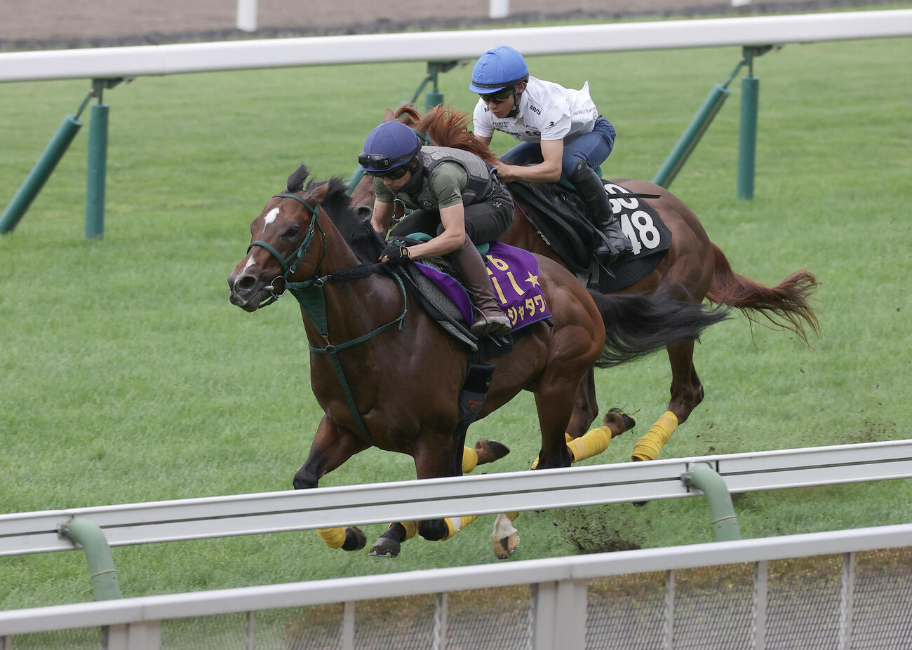 12日、芝コースで併せ馬で追い切られるパンジャタワー（手前）