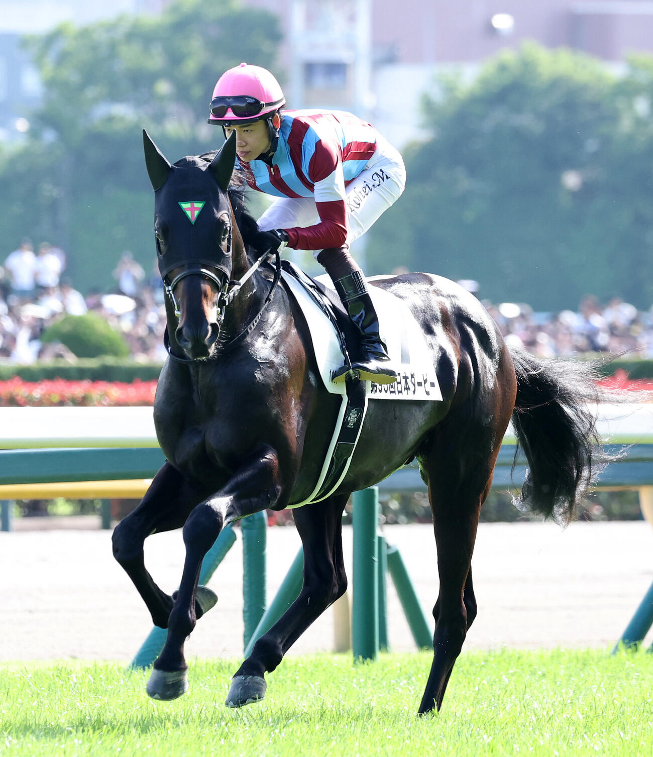 ロブチェン（2026年5月撮影）