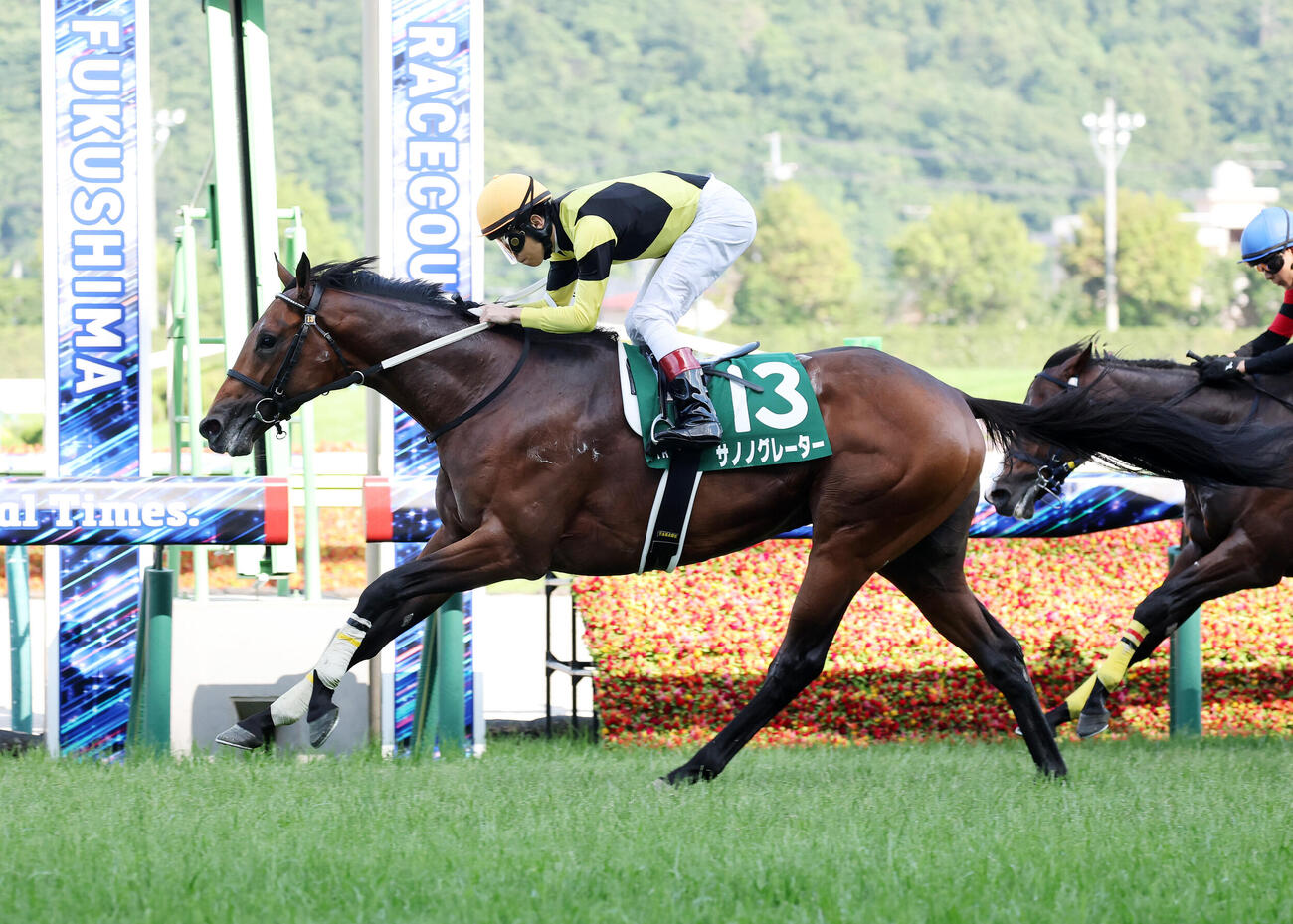ラジオNIKKEI賞を制したサノノグレーター（2026年6月撮影）