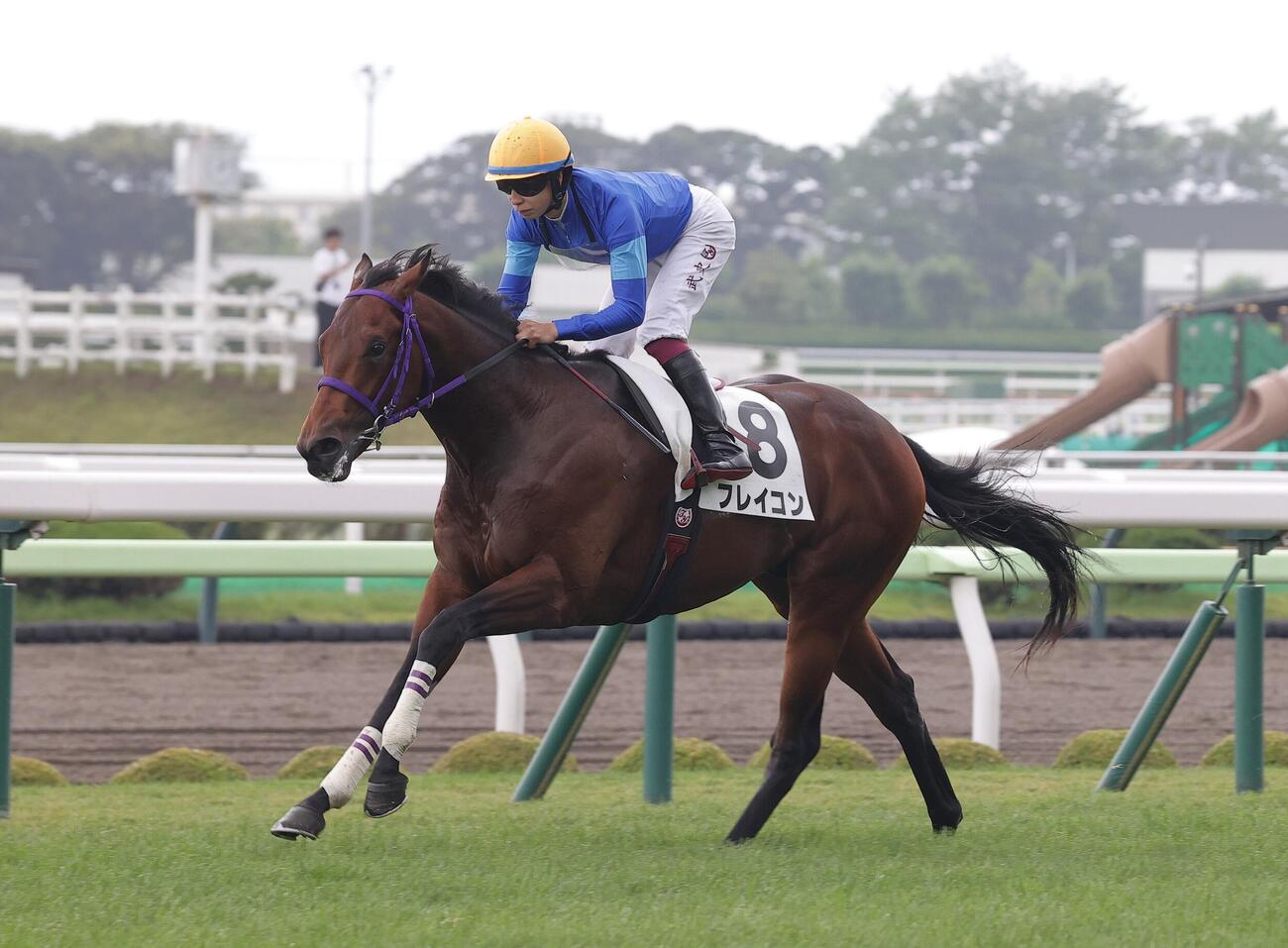 7月11日函館5R、新馬戦を制したフレイコン