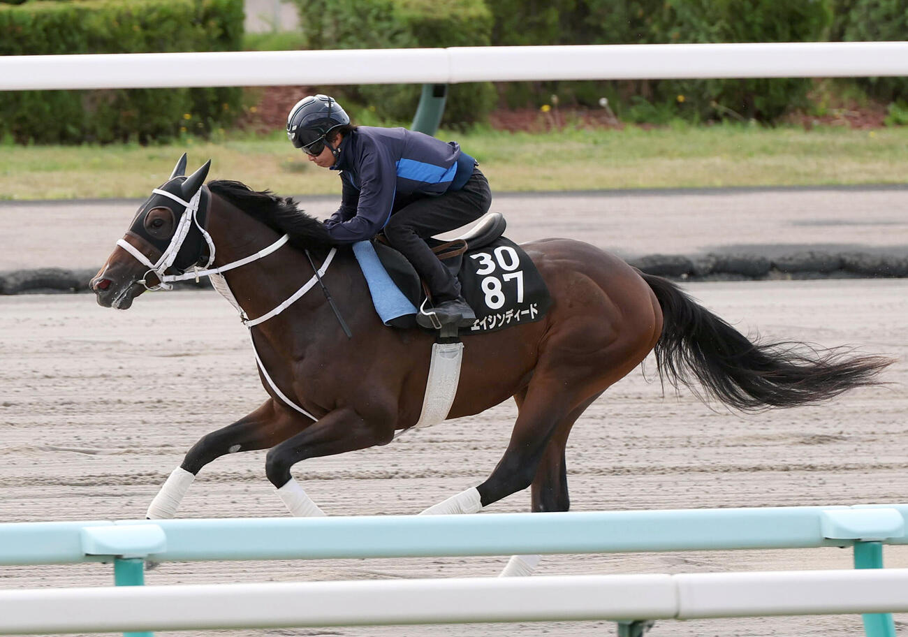 川又賢治騎手を背にエイシンディードは札幌競馬場のダートコースで追い切り