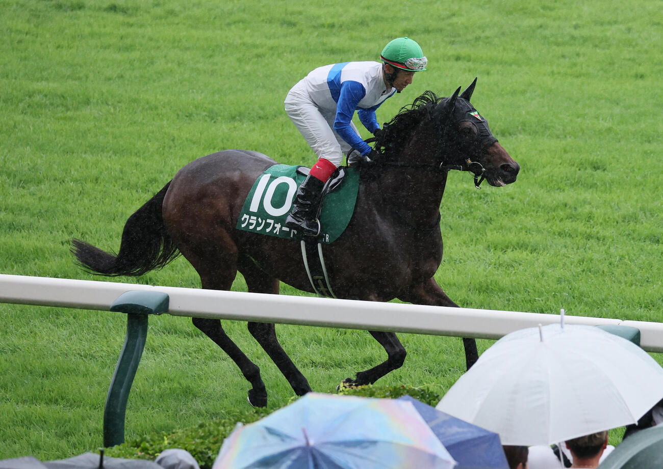 関屋記念で2着のクランフォード（2026年7月26日撮影）