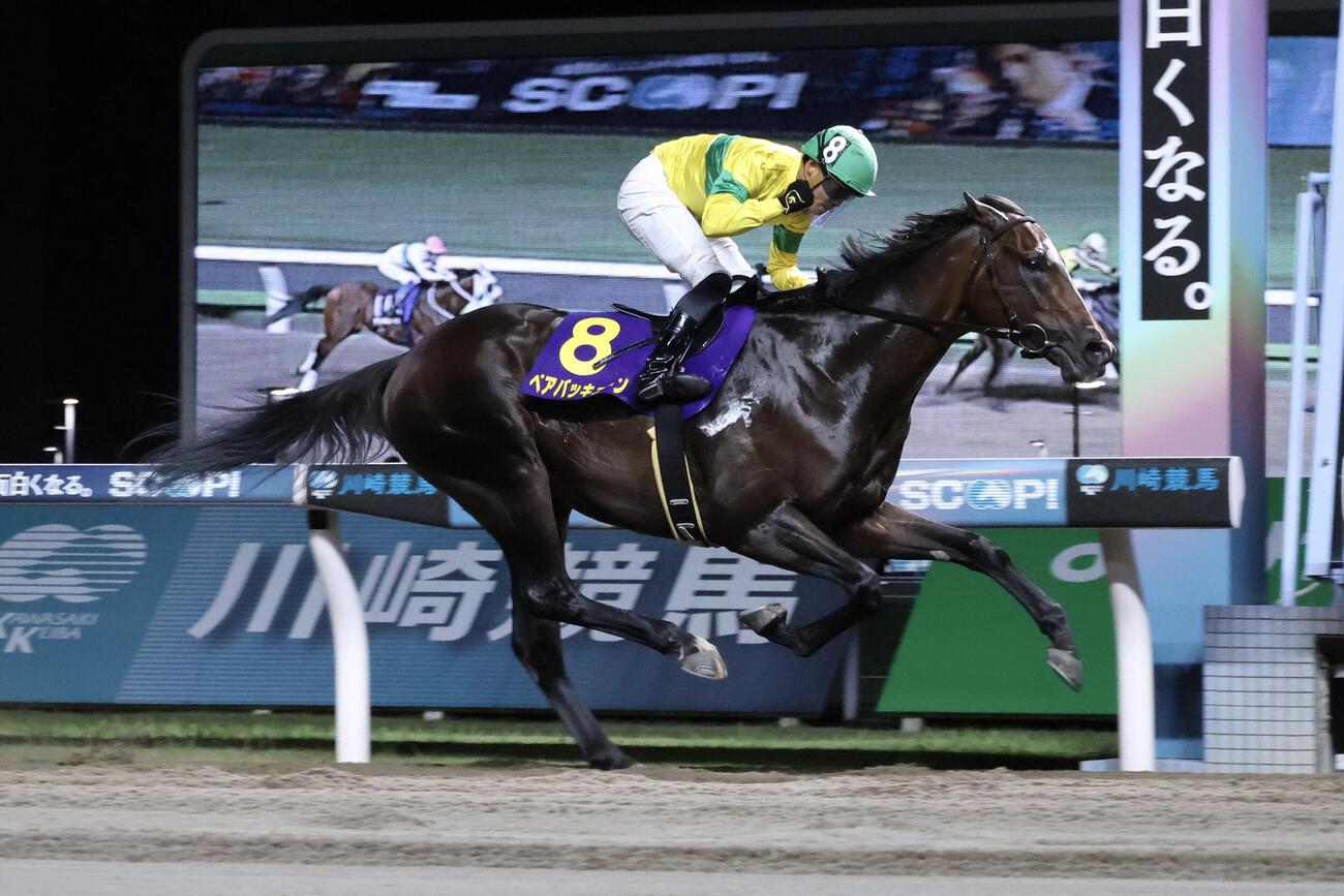 日刊スポーツ賞スパーキングサマーCを制したベアバッキューンと野畑凌騎手