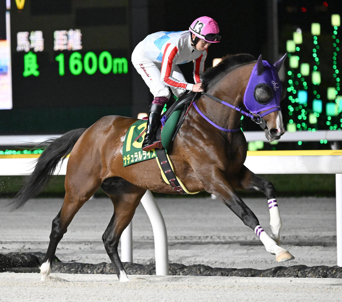 ナチュラルライズ（2026年5月撮影）