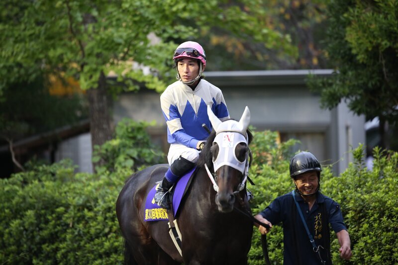マイネルバルビゾン（高知県競馬組合提供）