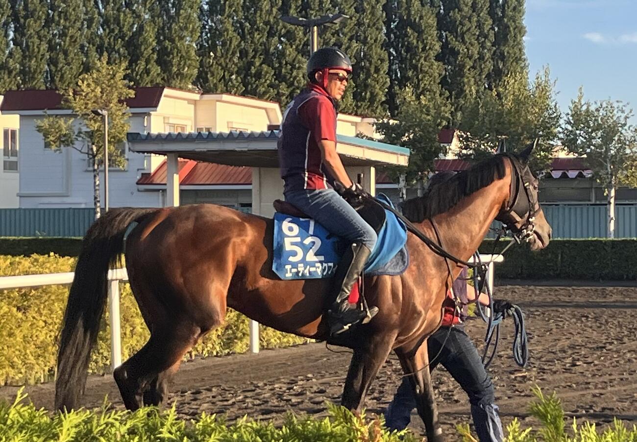 キーンランドCに出走するエーティーマクフィは金曜朝、札幌競馬場で調教へ向かう