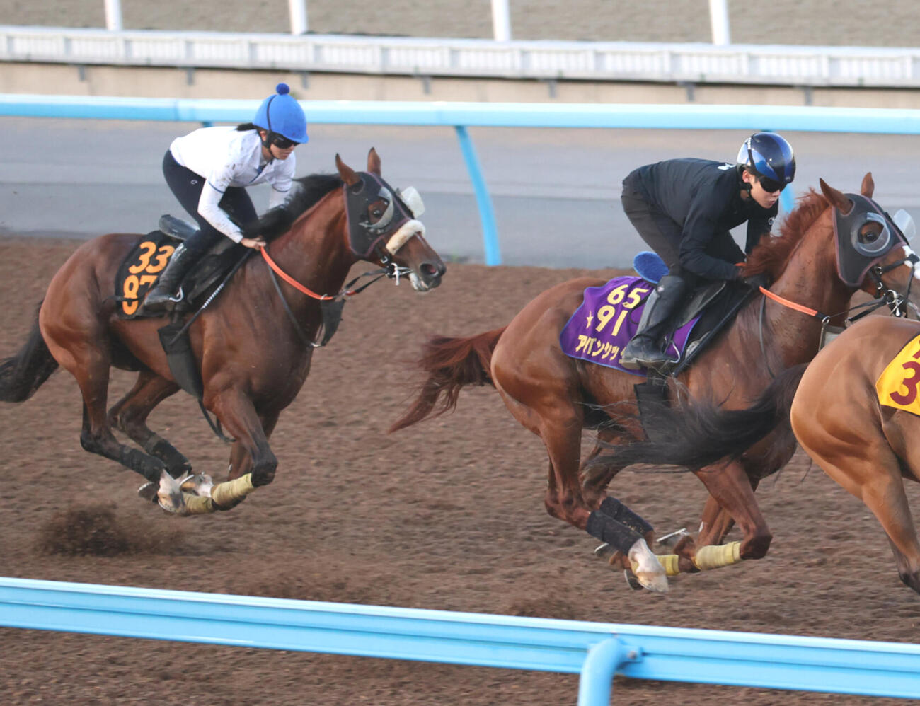 1週前追い切りを行ったタイダルロック（左）