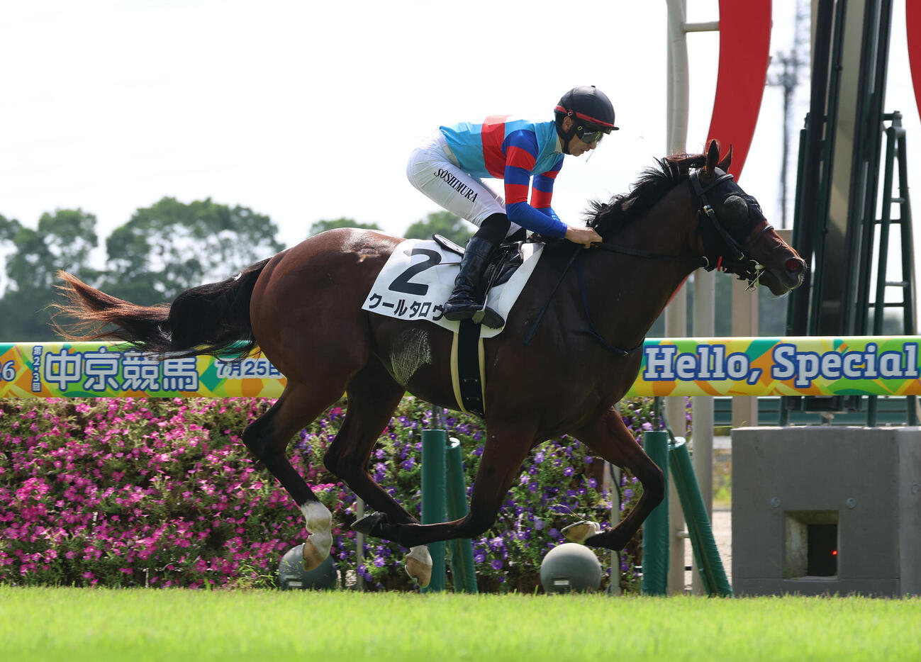 中京1R、レコードタイムで2歳未勝利を勝ち上ったクールタロウ（撮影・白石智彦）
