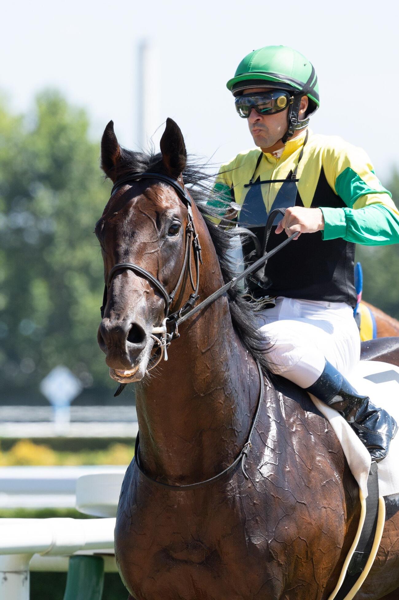 札幌1R、2歳未勝利を勝ち上がったトゥザファイナルとルメール騎手