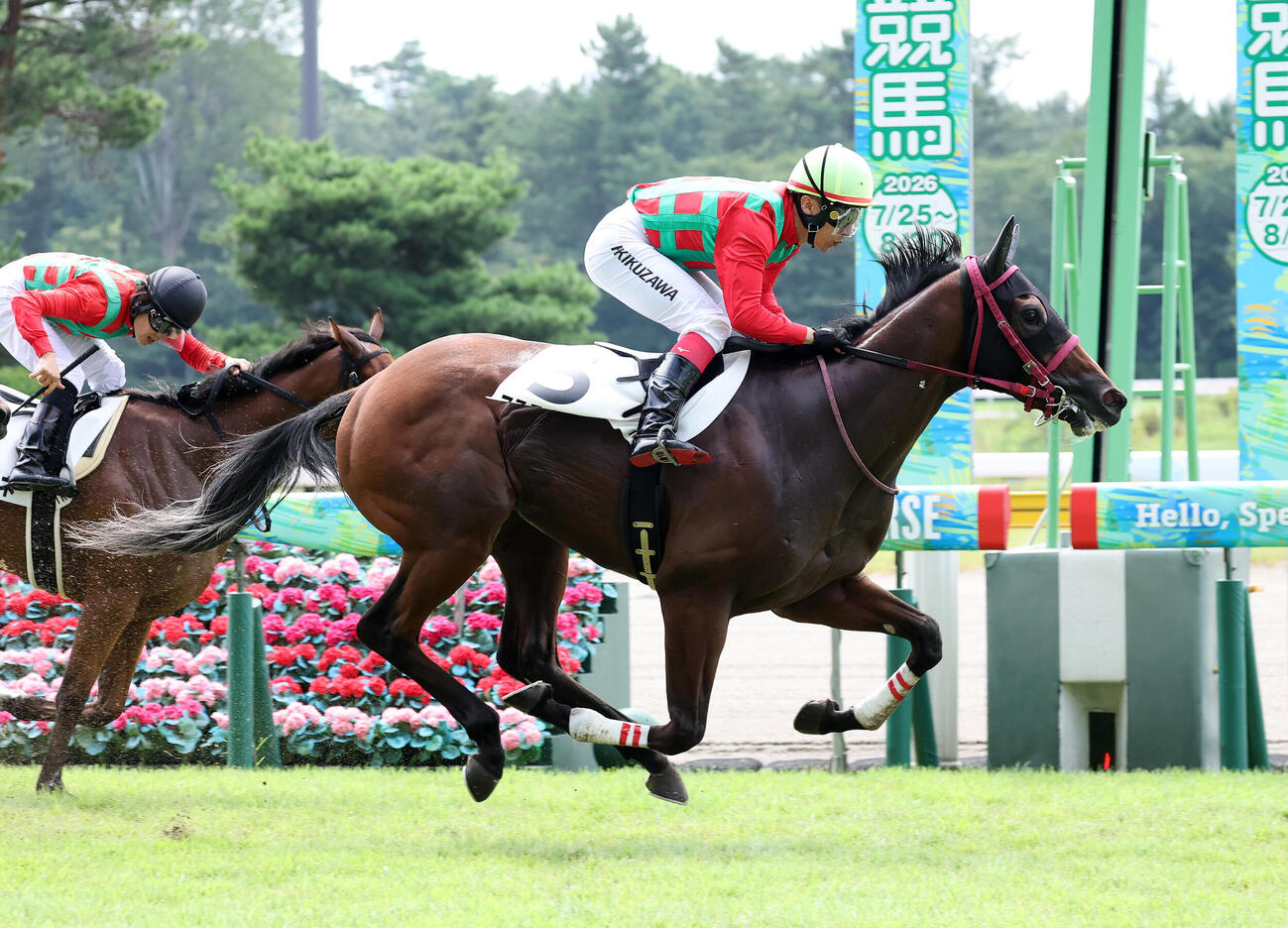 新潟1R 2歳未勝利を制したコスモイェーガーと菊沢一樹騎手（撮影・鈴木正人）