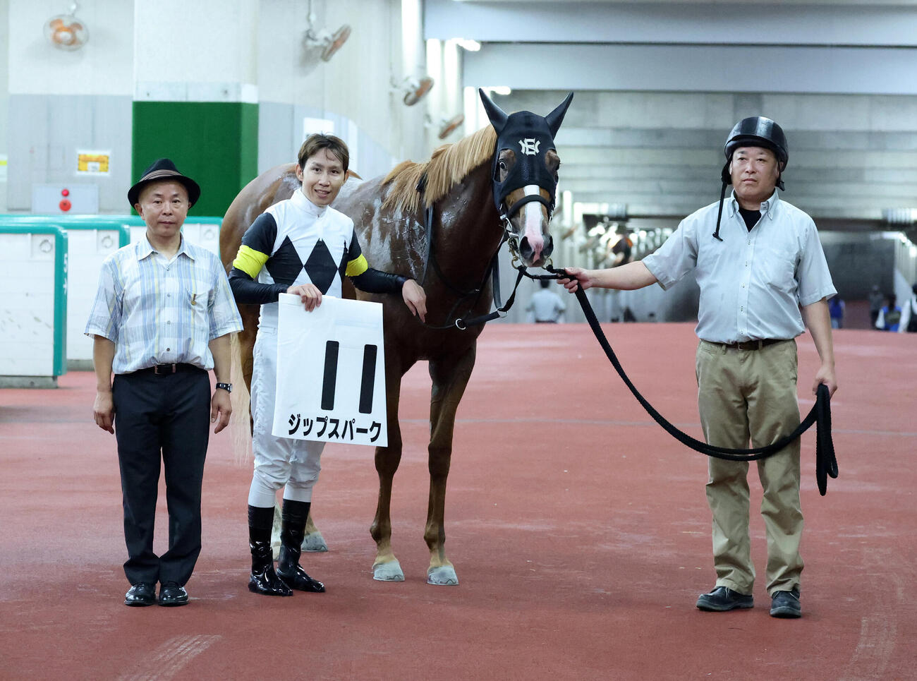 新潟3R 2歳新馬戦を制したジップスパークと田辺裕信騎手（撮影・鈴木正人）