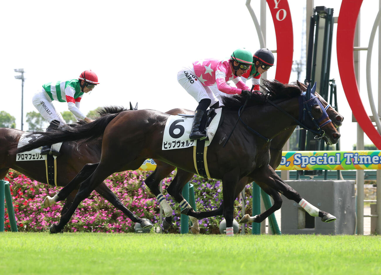 中京3R、ミルコ・デムーロ騎手を背に3歳以上1勝クラスを制したビップヴォルフ（撮影・白石智彦）
