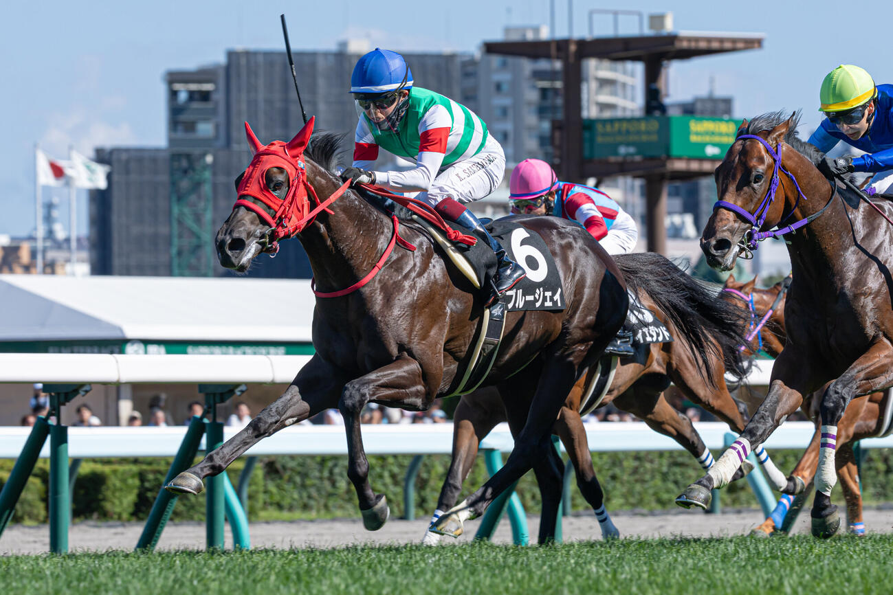 クローバー賞を制したブルージェイと鮫島克駿騎手